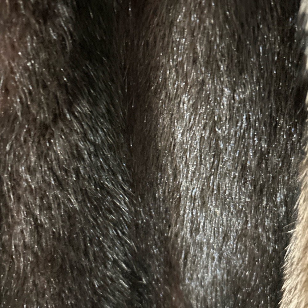 Mink - Picture 4 of 8